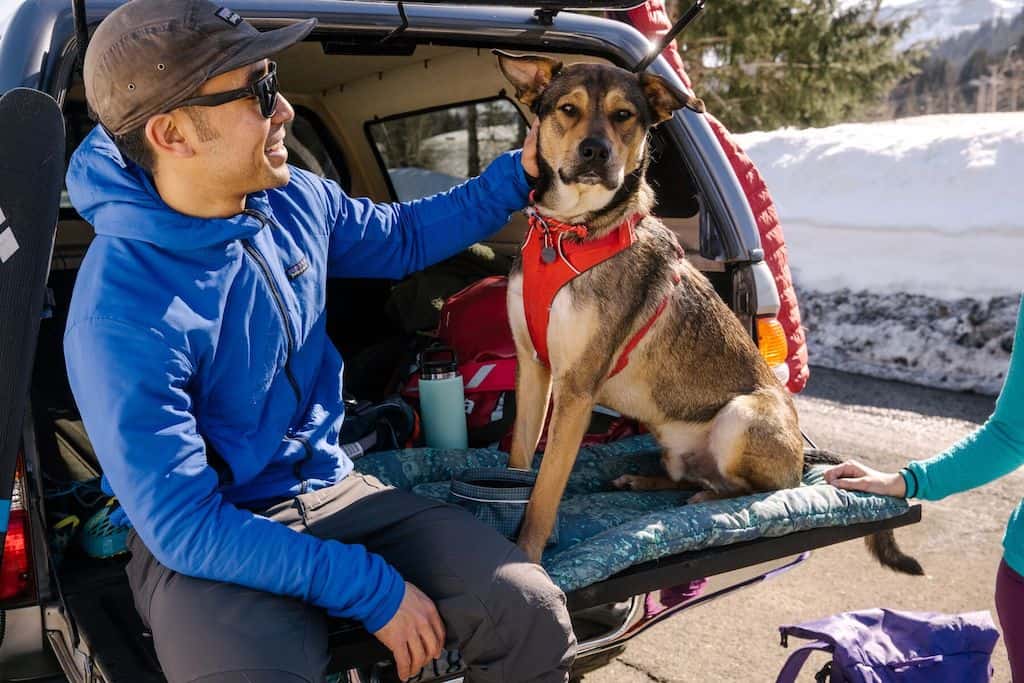 Ruffwear Basecamp Bed Dog sitting on one in the back of a car