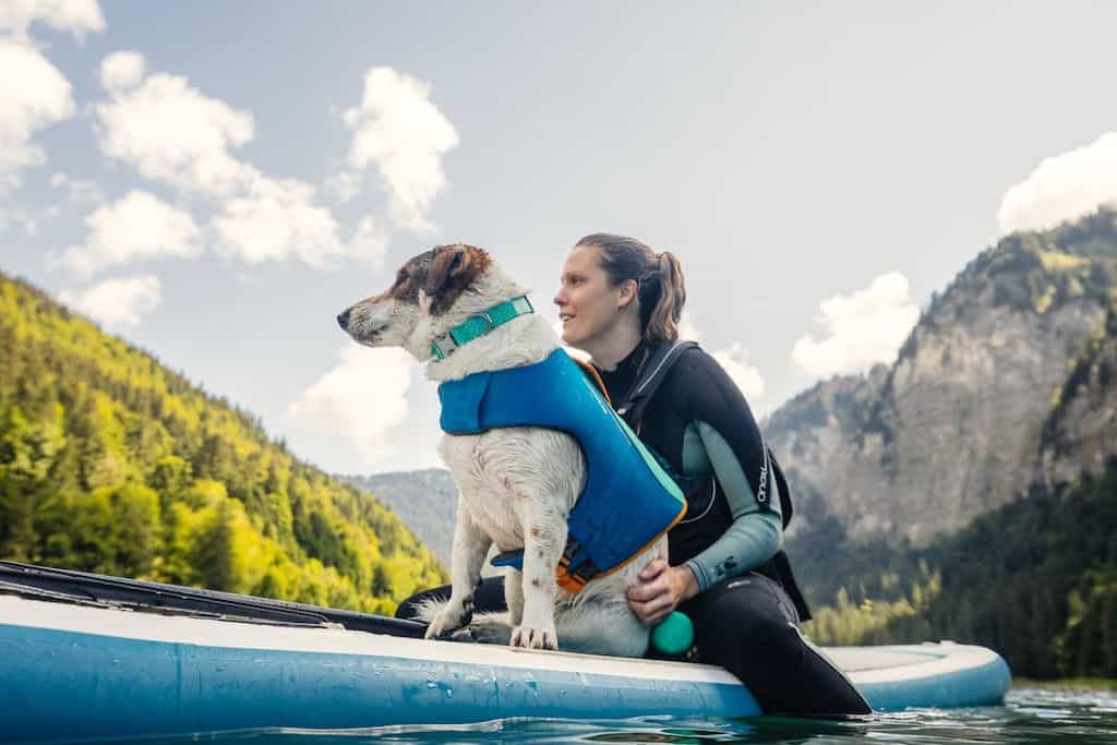Dog on a paddleboard wearing a Ruffwear Confluence Dog Collar in Aurora Teal