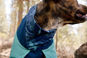 Dirtbag Dog Drying Towel - Post-Adventure, Absorbent Dog Coat