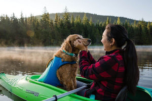 Ruffwear Float Coat on a Retriever in a Kayak with his mum