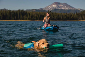 Ruffwear Float Coat on a dog swimming