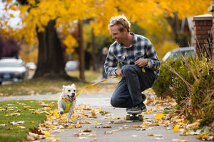 Dog in a Hi & Light harness running alongside a man on a skateboard