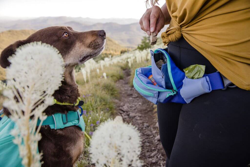Ruffwear Home Trail Hip Pack showing it open and feeding a dog some treats