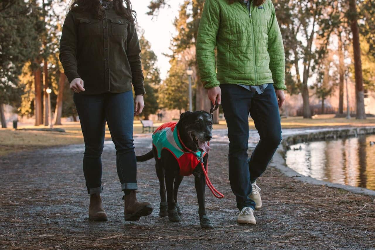 Ruffwear Just-a-Cinch Slip Leash on a black dog walking with owners
