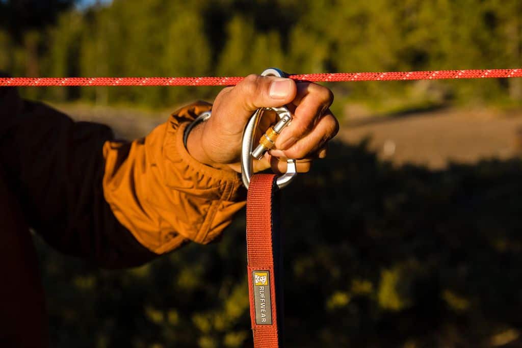 Ruffwear Knot-a-Hitch Showing a close-up of the carabiner and a leash attached