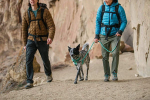 Ruffwear Knot-a-Leash in Aurora Teal on a dog walking with his humans