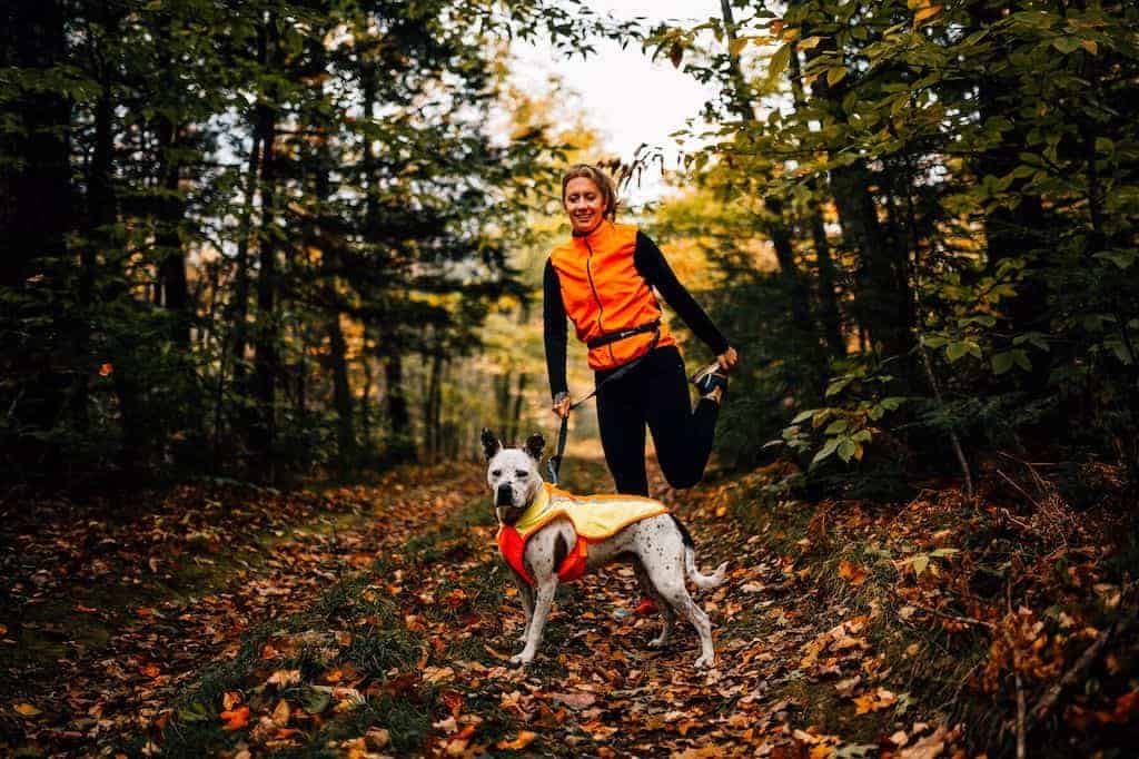 Ruffwear Lumenglow Hi Viz Dog Coat Lifestyle photo of dog wearing one out running in the woods