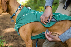 Overcoat Fuse Dog Jacket - Dog Coat with a Built-in Harness!