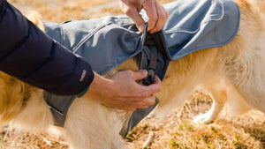 Overcoat Dog Jacket - Fleece-Lined & Durable
