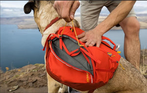 SALE! Palisades Pack - Premium Dog Backpack for Multi-Day & Backcountry Trips