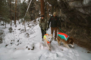 Ruffwear Knot-a-Leash Lifestyle shot showing bright leashes in snowy conditions (low-light)
