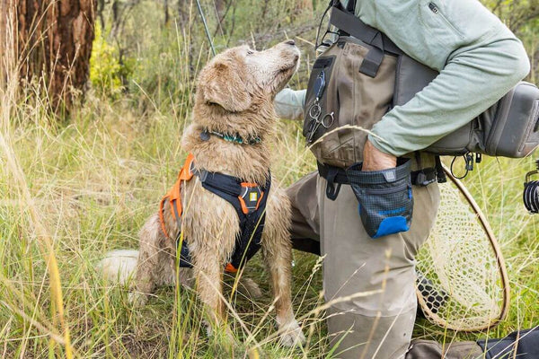 Ruffwear Treat Trader Waist Worn Dog Treat Bag for Training