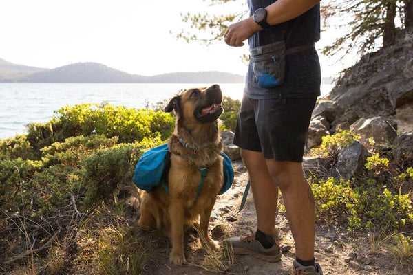 Ruffwear Treat Trader Waist Worn Dog Treat Bag for Training