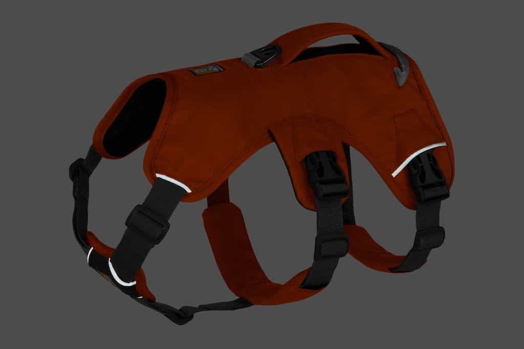 A photo showing how the reflective trim on the Ruffwear Web Master Harness looks in low light conditions.
