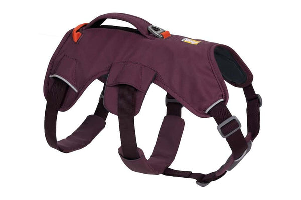 Therapeutic Dog Hock Brace/Pair - Back On Track Products Australia